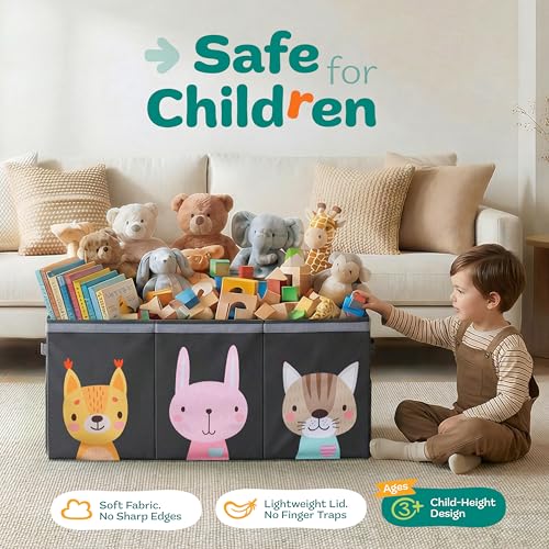 Extra Large Toy Storage Organizer with Lid