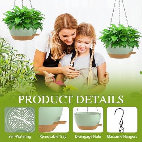 12 Inch Hanging Baskets 2 PC with Chains (2 Count)