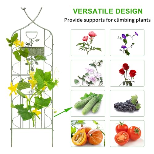 59.5 x 36in Rustic Iron Arch Decoration Garden Trellis with Metal Coating