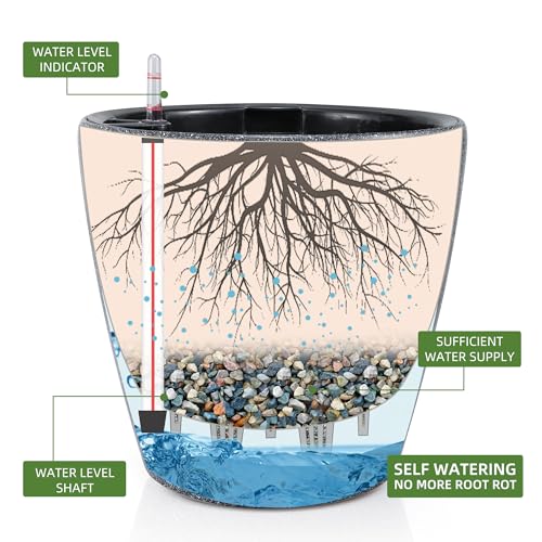 13x12 Self Watering Planter with Wheels