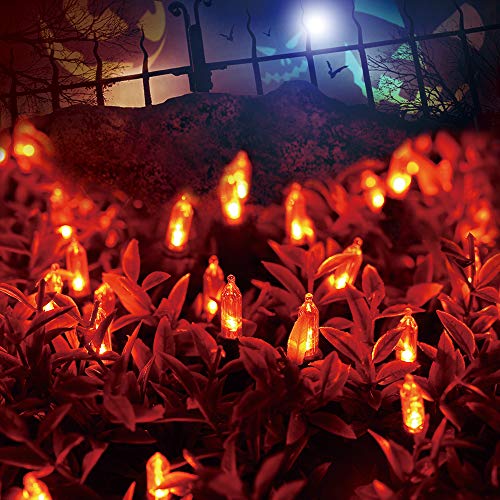 ODEERTONIC Orange Halloween Mini String Lights