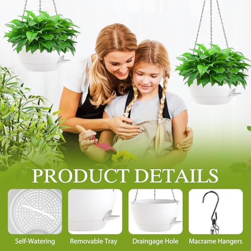 10 Inch Hanging Baskets 2 PC with Chains (2 Count)