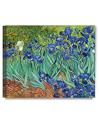 Irises in the Garden