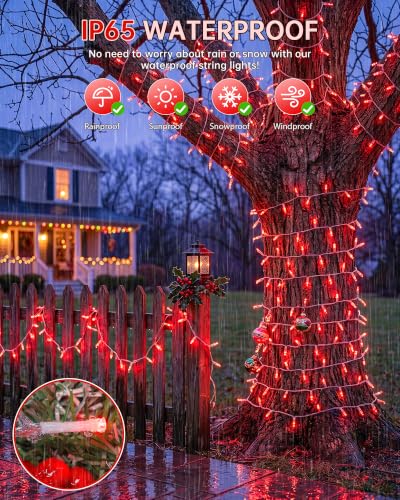 33FT 100 LED Red Christmas Valentine's Day Twinkle String Lights (33 Foot)