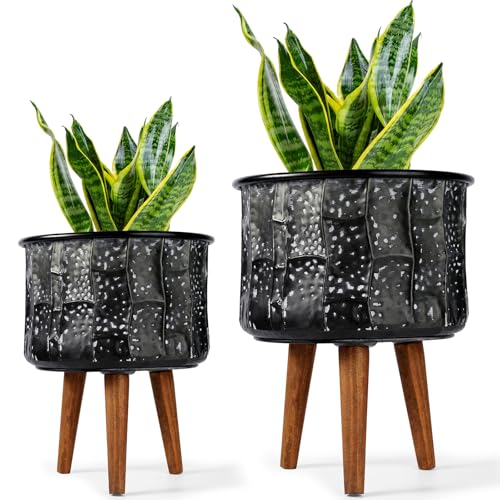 Plant Pots with Stand (2 Count)