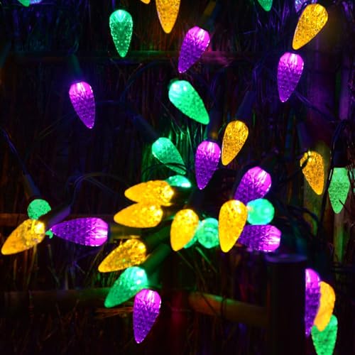 Outdoor Solar Christmas Lights C6 Strawberry String Lights Mardi Gras String Lights