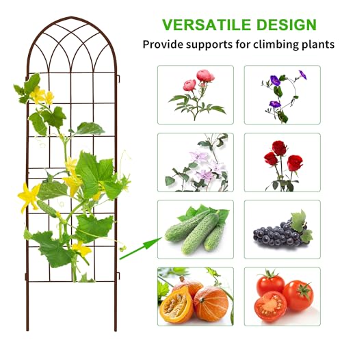 71 x 40in Rustic Iron Arch Decoration Garden Trellis with Metal Coating (2 Count)