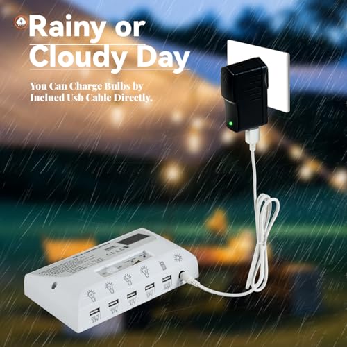 Solar Powered Indoor & Outdoor Pendant Lights with 4 LED Bulbs