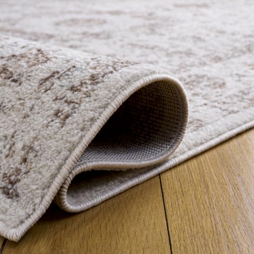 Evoke Area Rug 6x8 (48 Sq Ft)