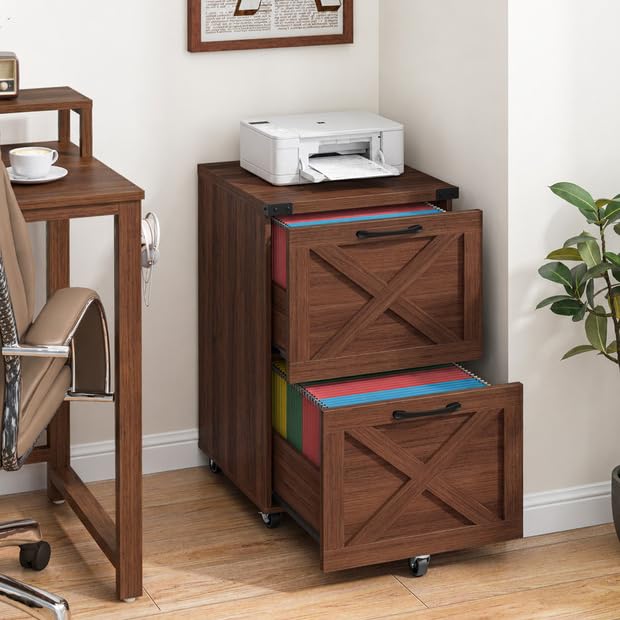 Farmhouse File Cabinet with Lock & 2 Drawers