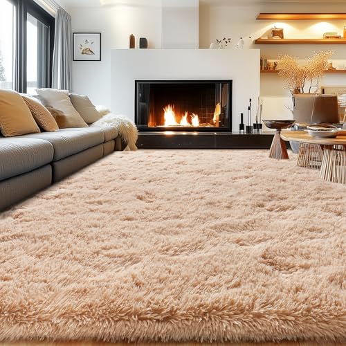 Fluffy Rug for Living Room Bedroom