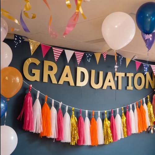 Shiny Tassel Garland Tissue Paper Tassel Banner