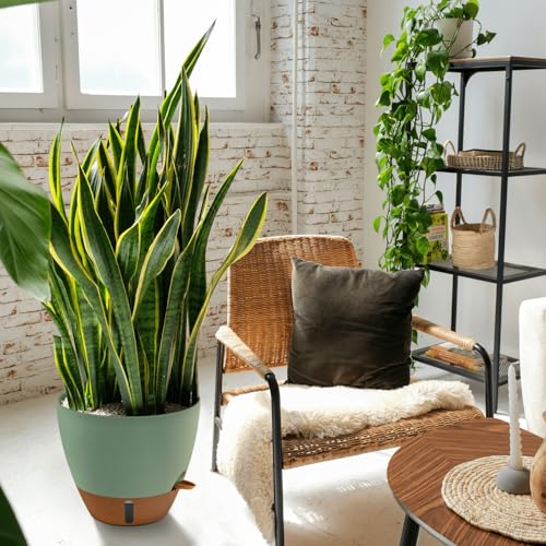 12/10/8 Inch Self Watering Pots for Indoor Plants Plastic Large Pot for Outdoor Plants, Water Level Window & Spacious Reservoir Flower Pots Decorative Planter with Drainage and Tray (3 Count)
