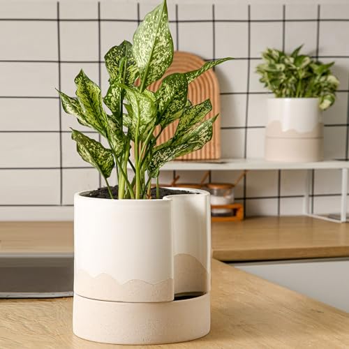 Ceramic Self Watering Plant Pot for Indoor Plants
