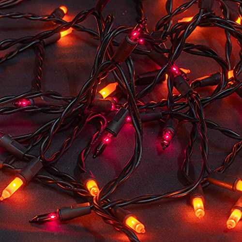 Purple and Orange Halloween Mini Lights