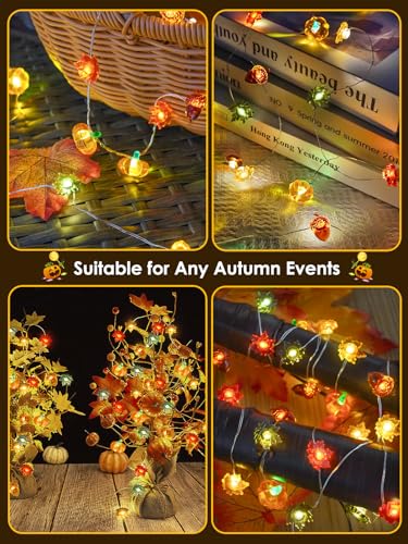 Fall Decor 3D Pumpkin Acorn Maple Leaf Fairy Lights Battery Operated Remote