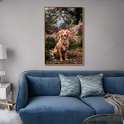 Custom Framed Canvas Prints with Your Photo for Pets