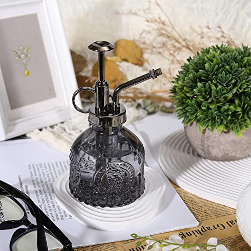 Glass Plant Mister Spray Bottle