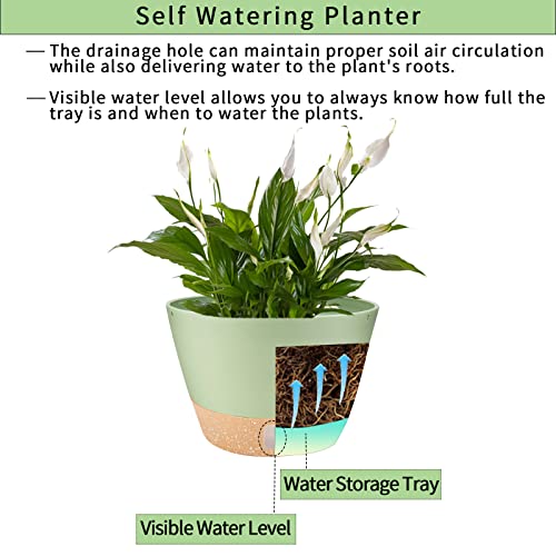 2 Pack Hanging Planters