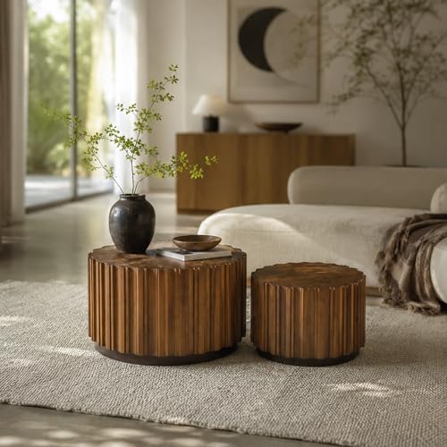 Nesting Round Coffee Table Set of 2
