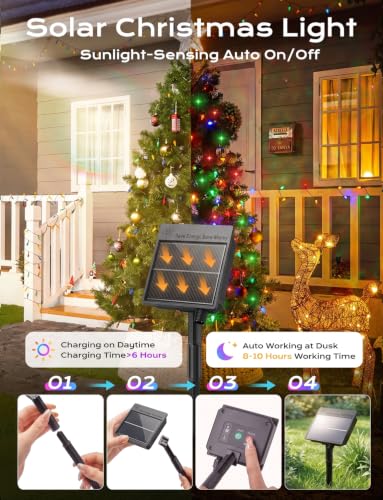 Solar Operated C6 Strawberry String Lights