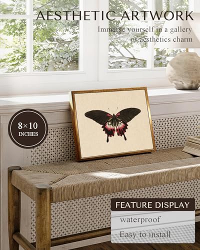 Vintage Black Pink Butterfly Framed Halloween Wall Art