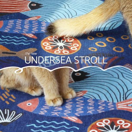 2x3 Coastal Area Rug Washable Kids Rug Colorful Ocean Fish Mat Blue (6 Sq Ft)