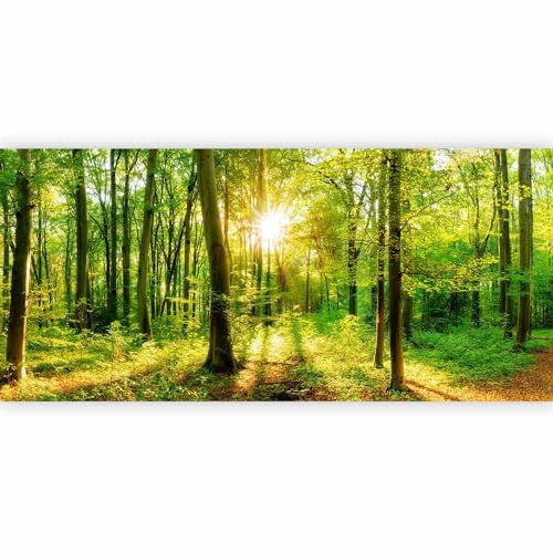 Wall Mural Wallpaper (147 Sq Ft)
