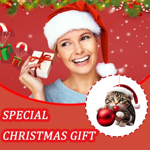 Funny Christmas Cat Christmas Tree Ornaments 10 Pcs