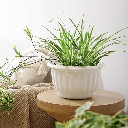 12 Inch Hanging Planters for Outdoor Plants (2 Count)