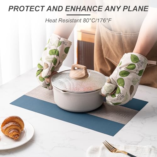 Placemats Set of 4 Washable Indoor (4 Count)