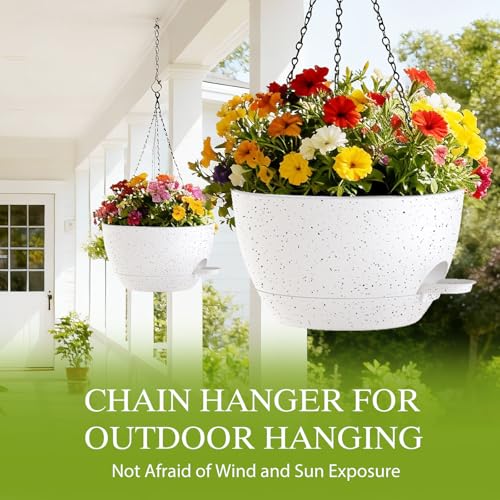 12 Inch Hanging Baskets 2 PC with Chains (2 Count)