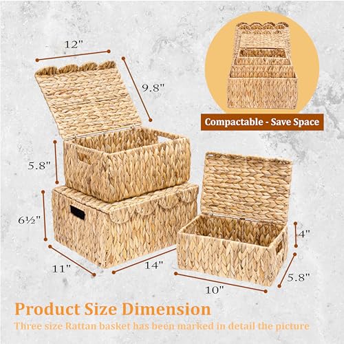 Set of 3 Scalloped Edge Wicker Basket with Lid