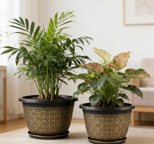 10 Inch Plant Pots (4 Count)