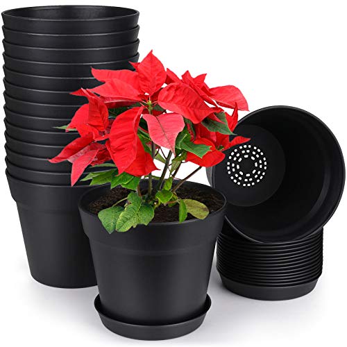 6 Inch Plastic Plant Pots with Drainage Holes and Saucers (15 Count)