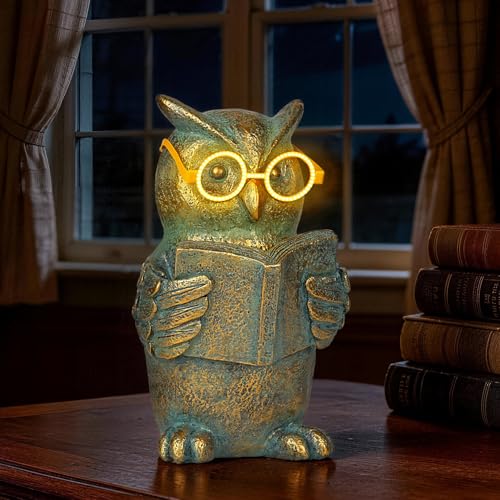 Reading Owl Statue with Solar Glasses Garden Decor Gift for Women