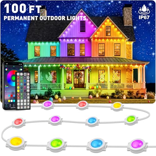 100FT Permanent Outdoor Lights