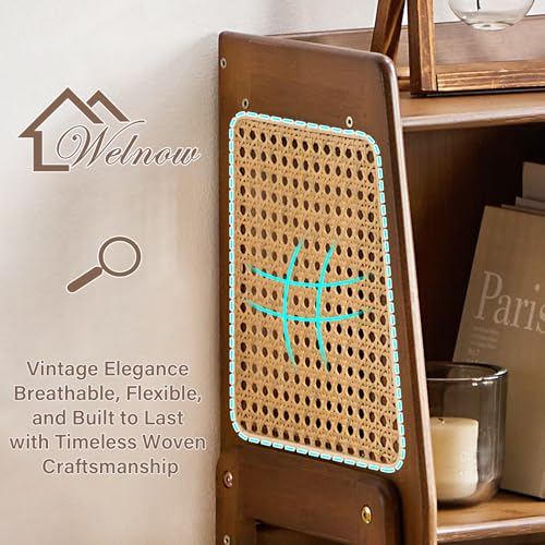 Bamboo Rattan Bookcase with Cabinet (3 Count)