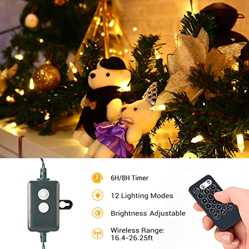 Color Changing Christmas Lights