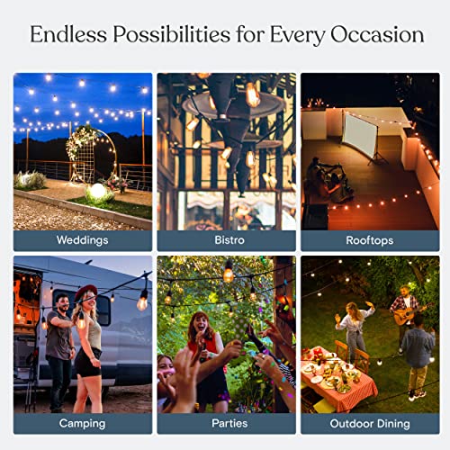 Ambience Pro Incandescent Outdoor String Lights (48 Foot)
