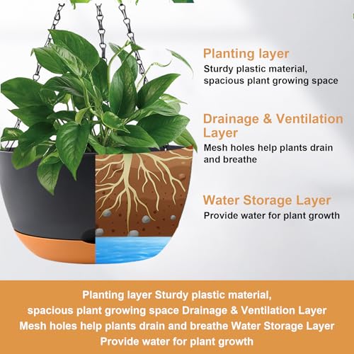 10 Inch Hanging Baskets (3 Count)