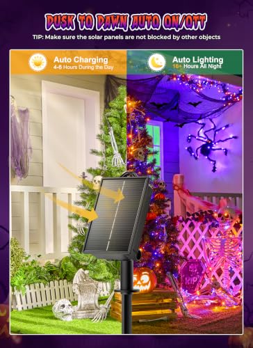 4 Pack Solar Halloween Lights (288 Foot)