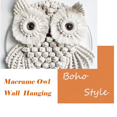 Owl Macrame Wall Hanging