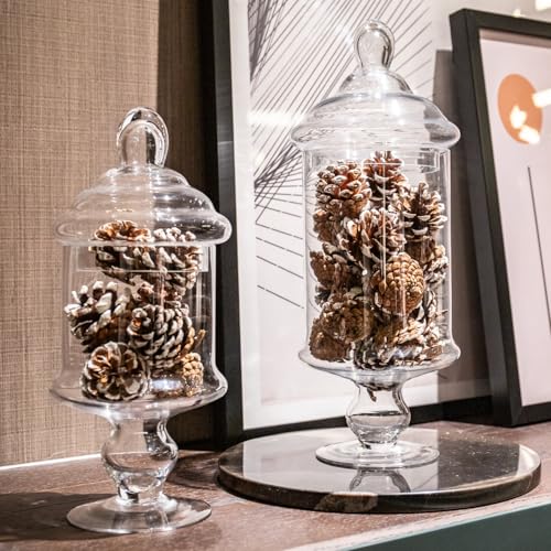 Clear Glass Apothecary Jar Decorative Candy Buffet Jars Elegant Glass Storage Containers