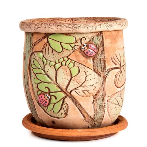 Ceramic Pot with Drainage Hole and Saucer