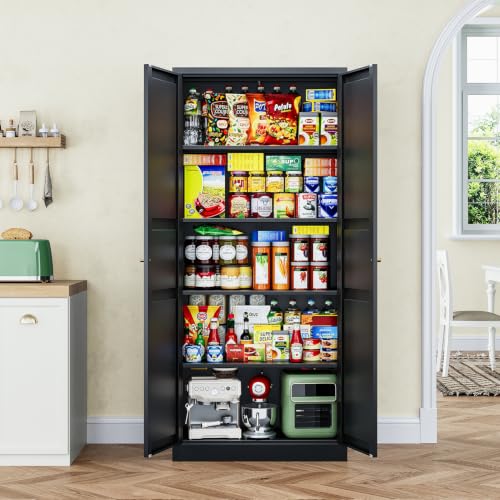Black Storage Cabinet with Adjustable Shelves