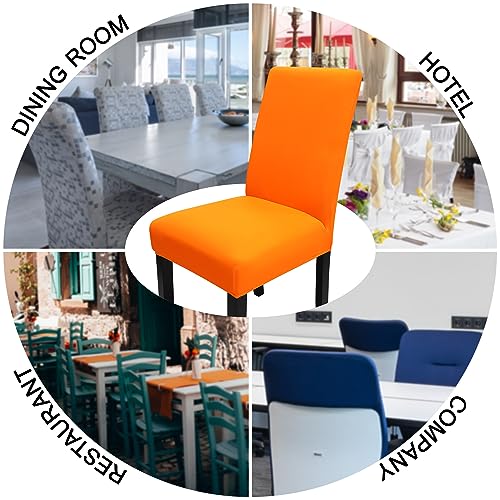 Dining Chair Slipcover
