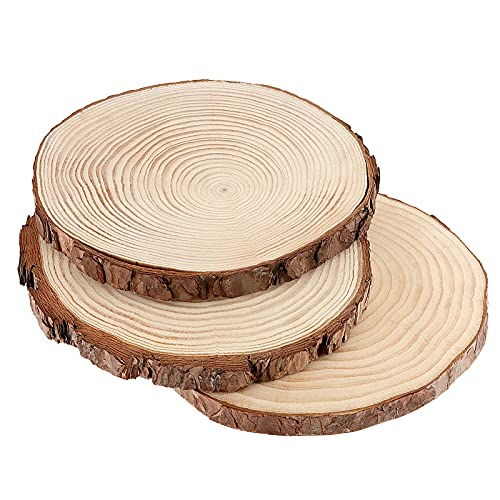5 PCS 8 9 Inch Unfinished Woods Slices (5 Count)