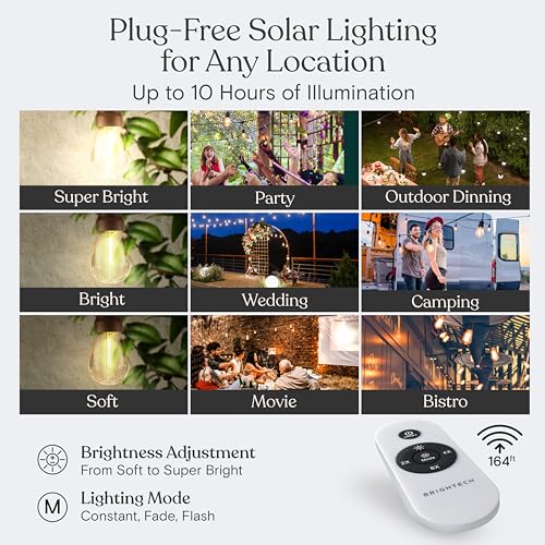 Ambience Pro Super Bright Solar (48 Foot)