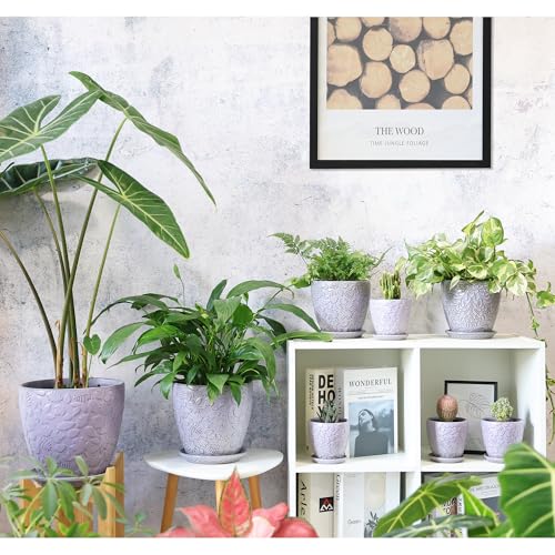 8 Inch + 6 Inch Retro Ceramic Planter Set of 2 with Drainage Hole and Saucer for Multiple Plants (2 Count)